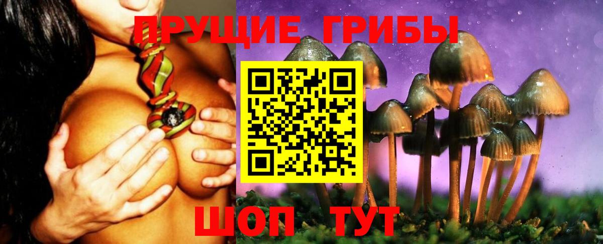 Псилоцибиновые грибы прущие грибы  Вход с VPN  Знаменск  Галлюциногенные грибы мицелий 